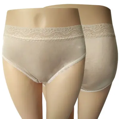 Ladies Grey Silk Mid Rise Seamless Panty, Plain at Rs 31/piece in