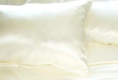 Silk Pillowcase 22mm ivory 60x63cm