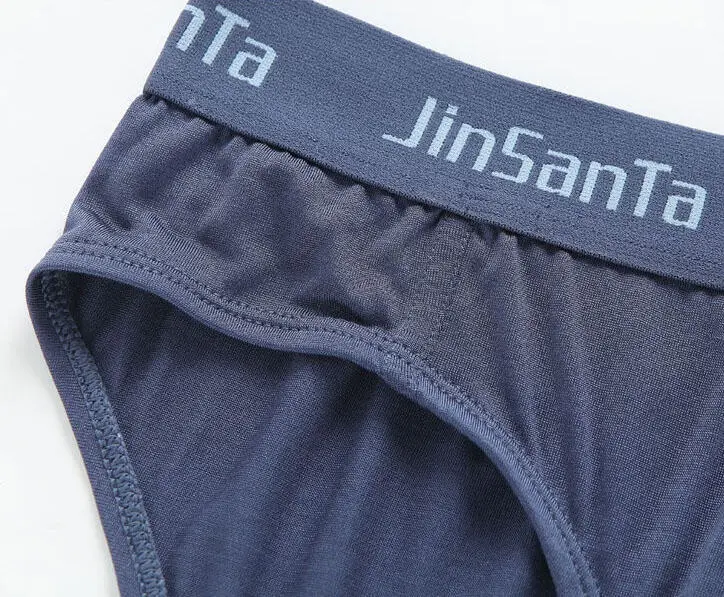 Silk briefs